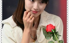 清潭洞爱丽丝演员表